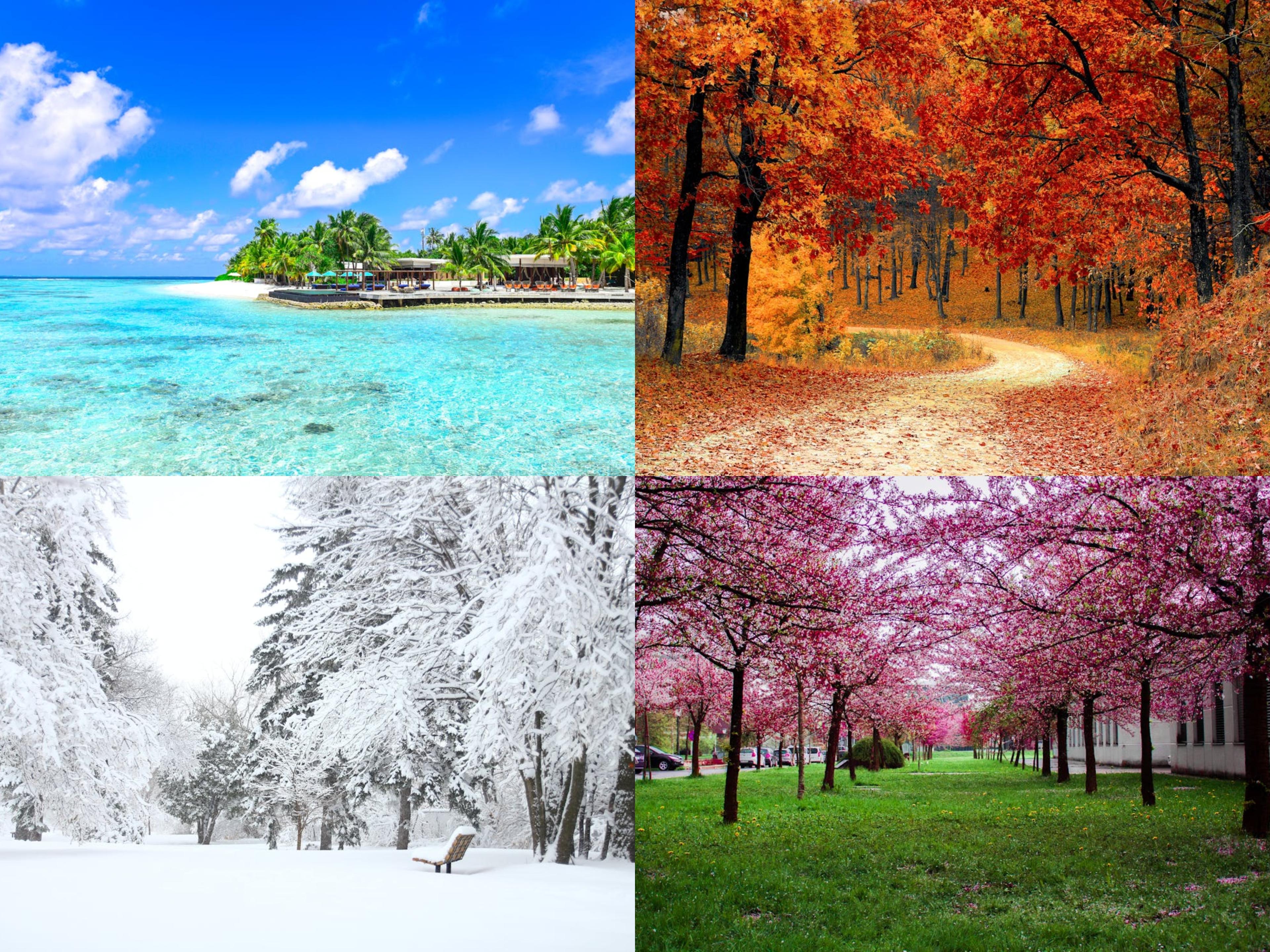 Days, Months, and Seasons