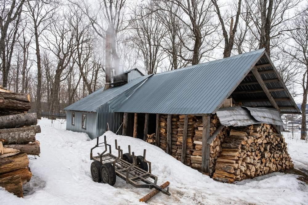 Weather and Seasons in Maple Town
