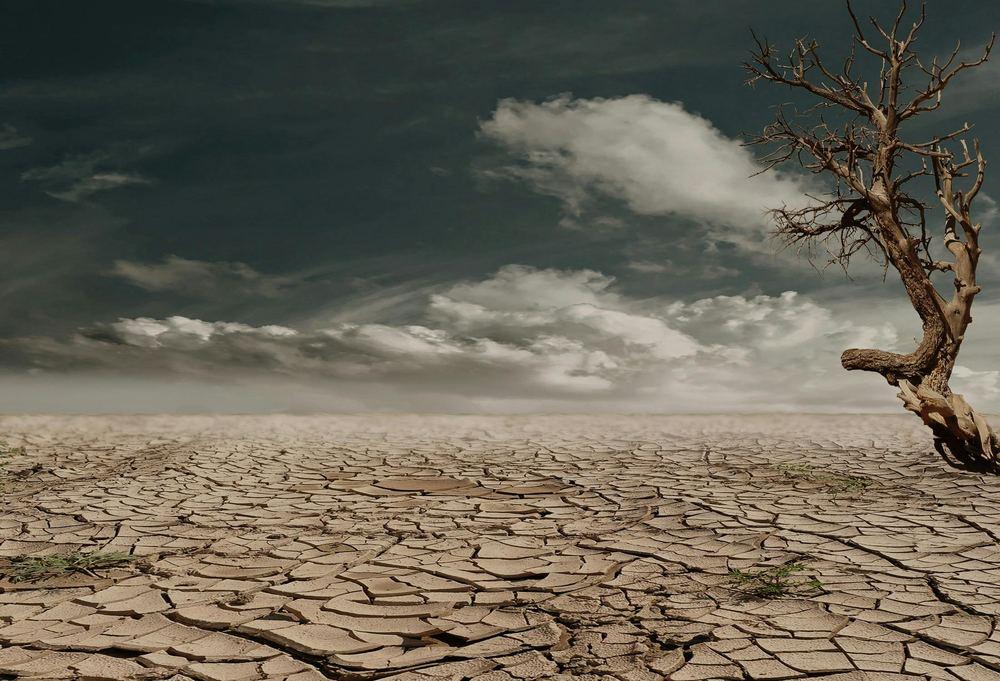 Climate Change and Sustainability